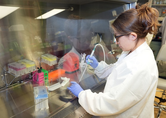 JOINT BASE SAN ANTONIO – (July 28, 2025) – Brook McGill, of San Antonio, a junior attending the University of Texas at San Antonio, uses a pipette to maintain cell cultures in the Directed Energy Health Effects Laboratory at the Tri-Service Research Laboratory. McGill is currently assigned as an intern with Naval Medical Research Unit (NAMRU) San Antonio through the Oak Ridge Institute for Science and Education (ORISE). ORISE is a U.S. Department of Energy asset that is dedicated to enabling critical scientific, research, and health initiatives of the department and its laboratory system by providing world class expertise in STEM workforce development, scientific and technical reviews, and the evaluation of radiation exposure and environmental contamination. Navy Medicine Research & Development (NMR&D) makes use of multiple channels to recruit and retain critical U.S. Navy medical support personnel. The research commands reach out to the next generation of scientists through conferences, STEM events, internships and career days, and support recruiting efforts early in undergraduate and graduate programs. NAMRU San Antonio, part of NMR&D, conducts gap-driven combat casualty care, craniofacial, and directed energy research in support of Navy, Marine Corps and joint U.S. warfighter health readiness and lethality while engaged in routine and expeditionary operations. (U.S. Navy photo by Burrell Parmer, NAMRU San Antonio Public Affairs/Released)