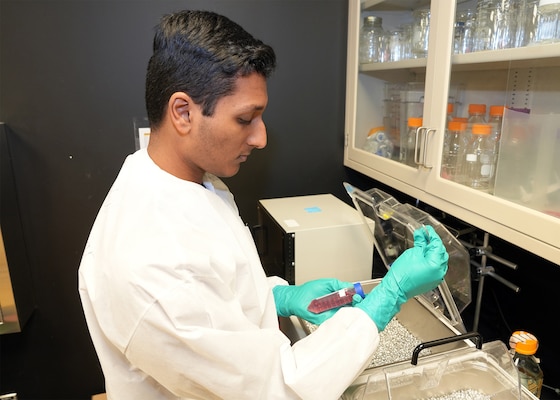 JOINT BASE SAN ANTONIO – (July 28, 2025) – Rahul Iyangar, of San Diego, a junior attending the University of California at San Diego, pipettes samples during cell culture maintenance in the Directed Energy Health Effects Laboratory. Pipetting is a fundamental laboratory technique crucial for accurate and precise liquid handling across various scientific disciplines.  Iyangar is currently assigned as an intern with Naval Medical Research Unit (NAMRU) San Antonio through the Office of Naval Research’s Naval Research Enterprise Internship Program (NREIP). NREIP places college and university students in the Department of the Navy laboratories where they take part in real Naval research for ten weeks during the summer. NREIP gives academically talented college students, graduating seniors, and graduate students pursuing STEM careers the opportunity to learn about Naval research and technology while receiving first-class mentoring by top scientists and engineers. Navy Medicine Research & Development (NMR&D) makes use of multiple channels to recruit and retain critical U.S. Navy medical support personnel. The research commands reach out to the next generation of scientists through conferences, STEM events, internships and career days, and support recruiting efforts early in undergraduate and graduate programs. NAMRU San Antonio, part of NMR&D, conducts gap-driven combat casualty care, craniofacial, and directed energy research in support of Navy, Marine Corps and joint U.S. warfighter health readiness and lethality while engaged in routine and expeditionary operations. (U.S. Navy photo by Burrell Parmer, NAMRU San Antonio Public Affairs/Released)