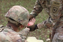 Caribbean Thunder 25