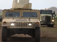 Caribbean Thunder 25