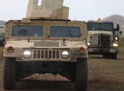 Caribbean Thunder 25