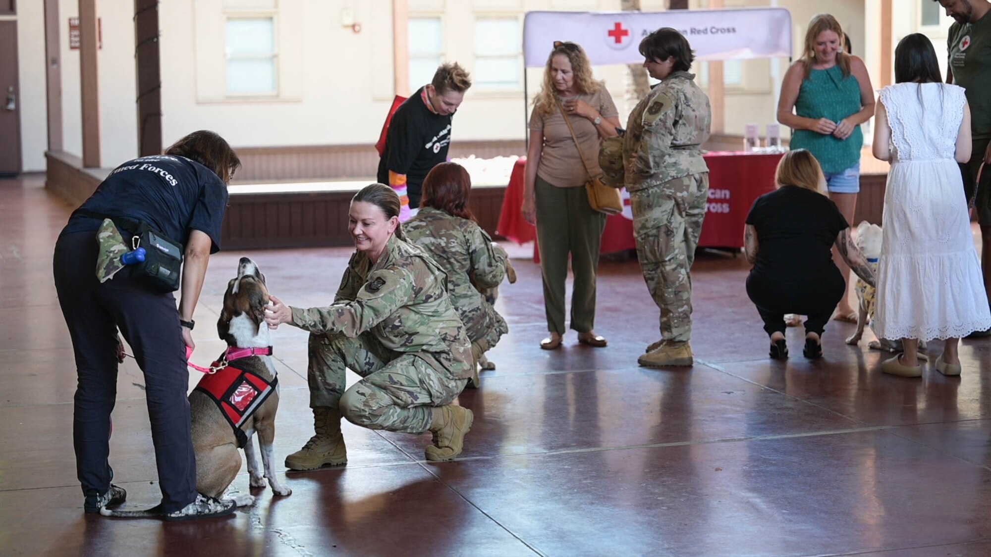 Servicemembers and civilians greeting therapy dogs during an American Red Cross Animal Visitation Program meet and greet.