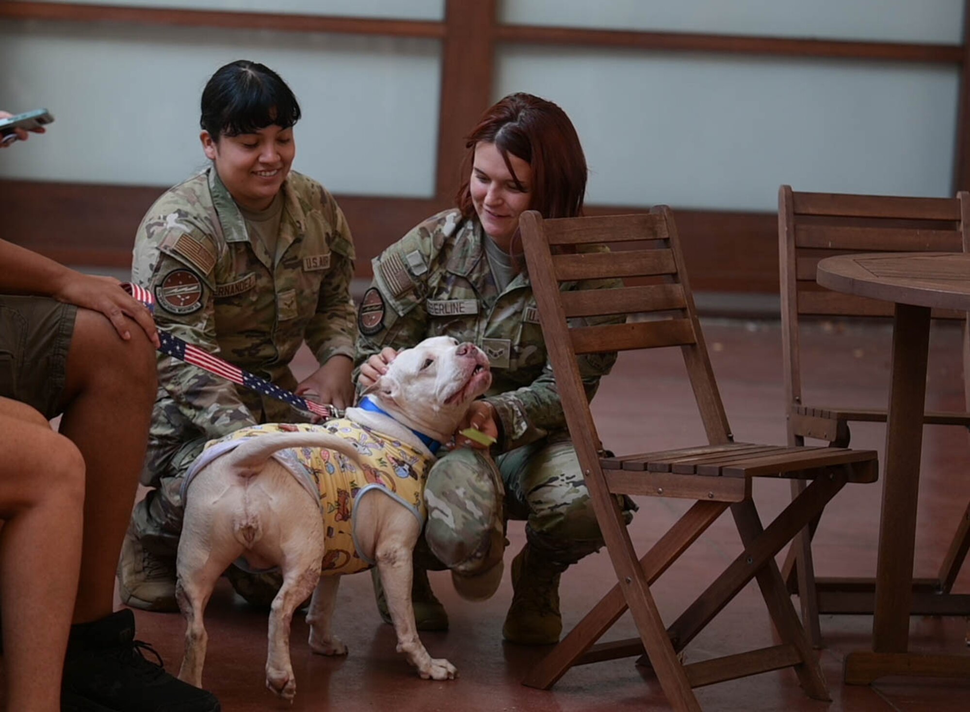 Two airmen petting a therapy dog.