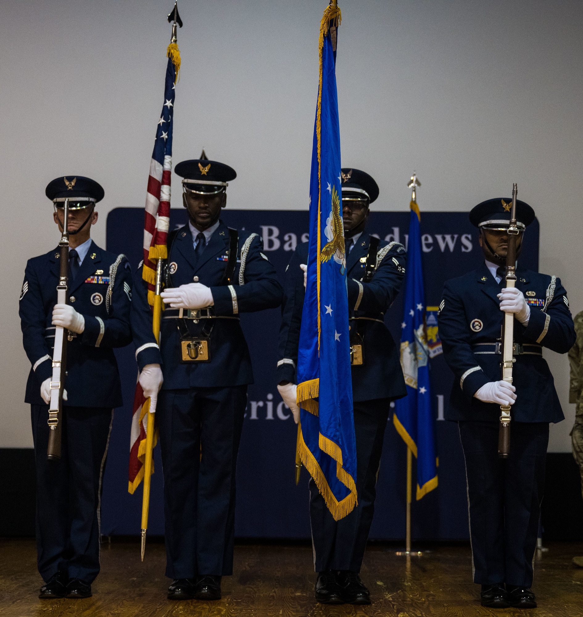 Joint Base Andrews Honor Guard members stand in formation presenting the colors during a retirement ceremony for Military Working Dogs Cchango and Nero at Joint Base Andrews, Md., Aug. 6, 2025.
