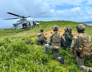 Service members simulate jungle rescue.