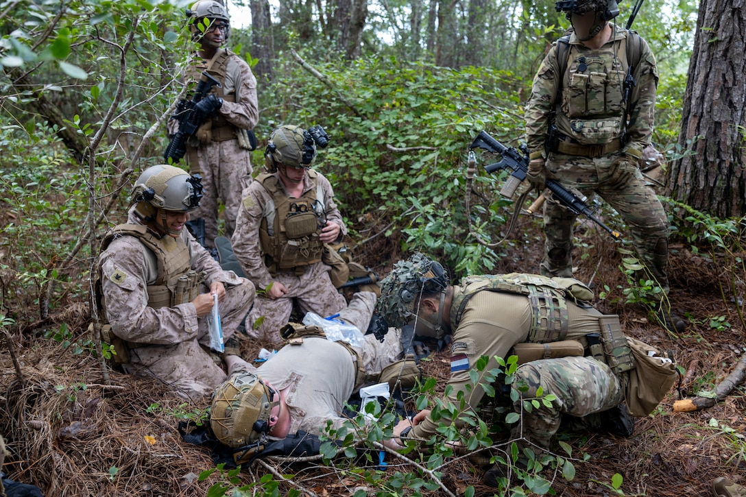 U.S. Marines and Sailors with 2nd Air Naval Gunfire Liaison Company, II Marine Expeditionary Force Information Group, and Dutch Marines with 25 RSTA Squadron, treat a simulated casualty during a casualty evacuation drill as part of exercise Burmese Chase 25 at Marine Corps Base Camp Lejeune, North Carolina, Aug. 7, 2025. Burmese Chase is an annual U.S. led, multi-lateral training exercise comprised of integrating ground and air fires, infantry tactics and naval gunfire alongside NATO allies to enhance combat readiness and interoperability. (U.S. Marine Corps photo by Cpl. Marc Imprevert)  (This photo has been altered for security purposes by blurring out faces.)