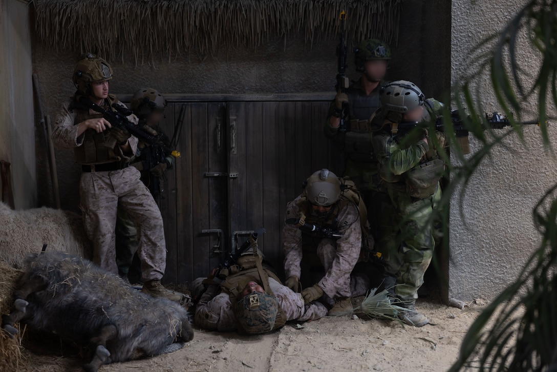 U.S. Marines with 2nd Air Naval Gunfire Liaison Company, II Marine Expeditionary Force Information Group, and Swedish armed forces members post security and treat a simulated casualty during exercise Burmese Chase 25 at Marine Corps Base Camp Lejeune, North Carolina, Aug. 8, 2025. Burmese Chase is an annual U.S. led, multi-lateral training exercise comprised of integrating ground and air fires, infantry tactics and naval gunfire alongside NATO allies to enhance combat readiness and interoperability. (U.S. Marine Corps photo by LCpl. Weston Lindstrom) (This photo has been altered for security purposes by blurring out faces.)