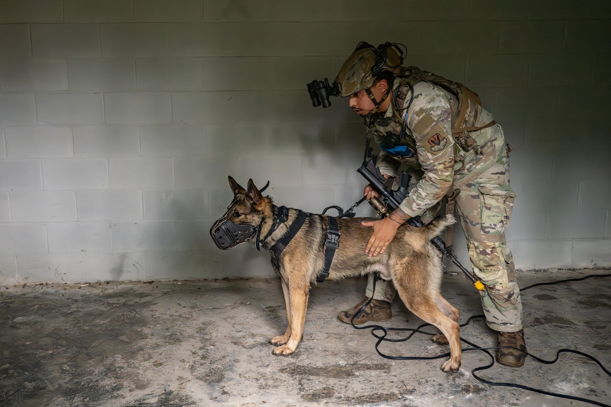 The 820th & 105th BDG conduct advanced military working dog and tactical training at Moody AFB.