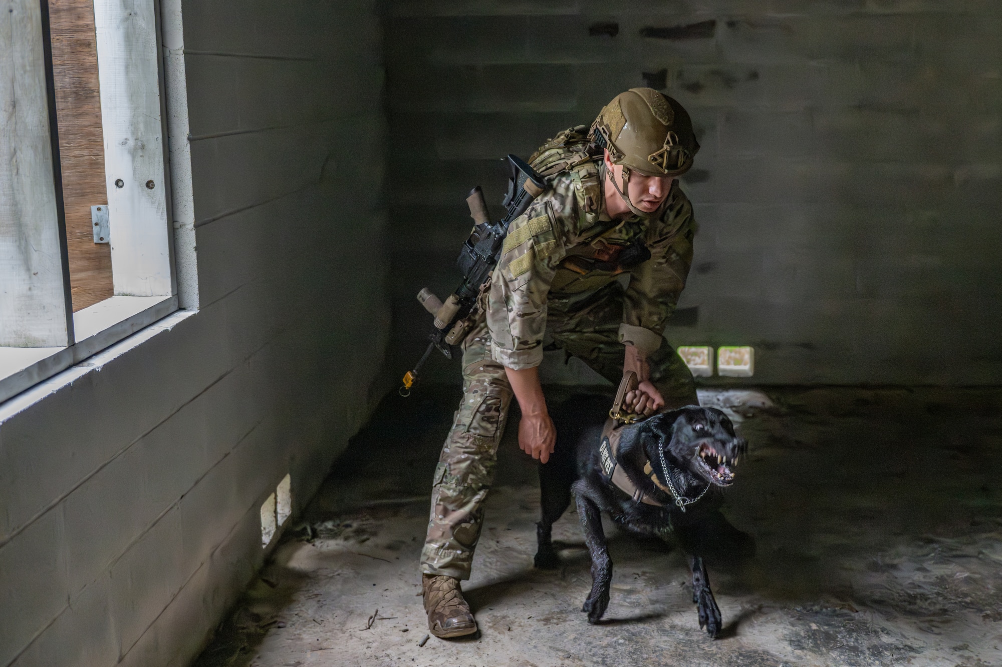 The 820th & 105th BDG conduct advanced military working dog and tactical training at Moody AFB.