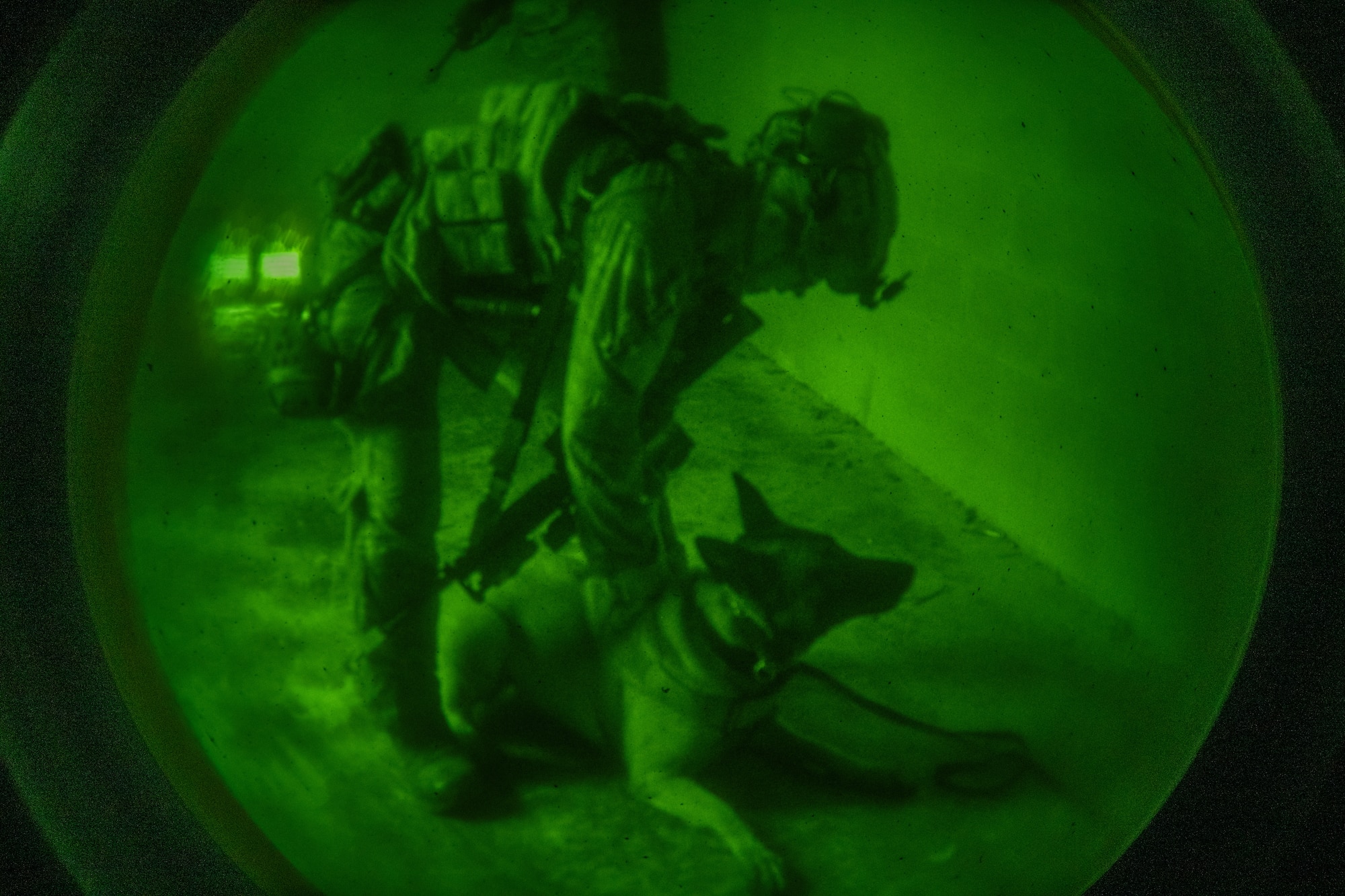 The 820th & 105th BDG conduct advanced military working dog and tactical training at Moody AFB.