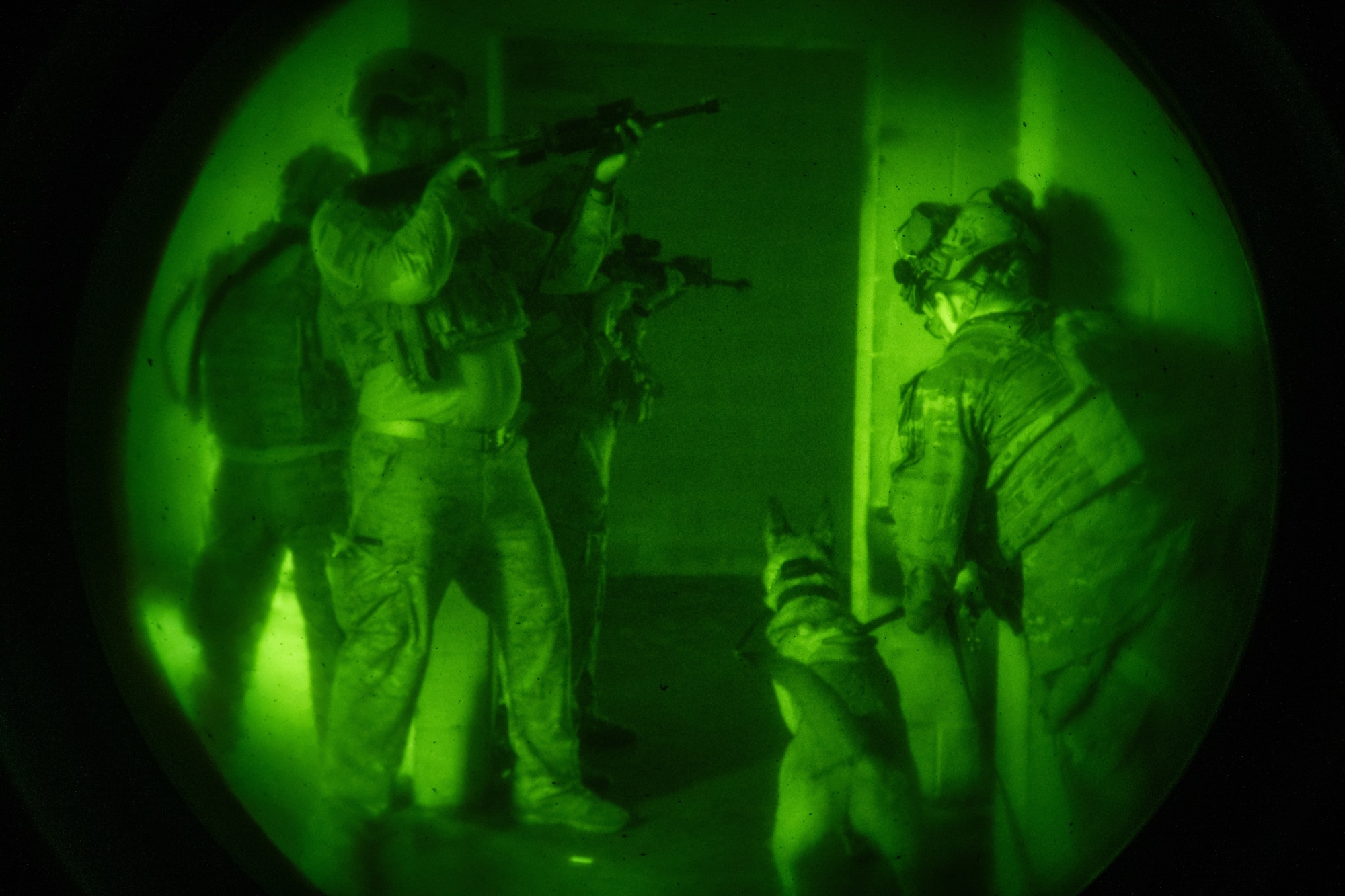 The 820th & 105th BDG conduct advanced military working dog and tactical training at Moody AFB.