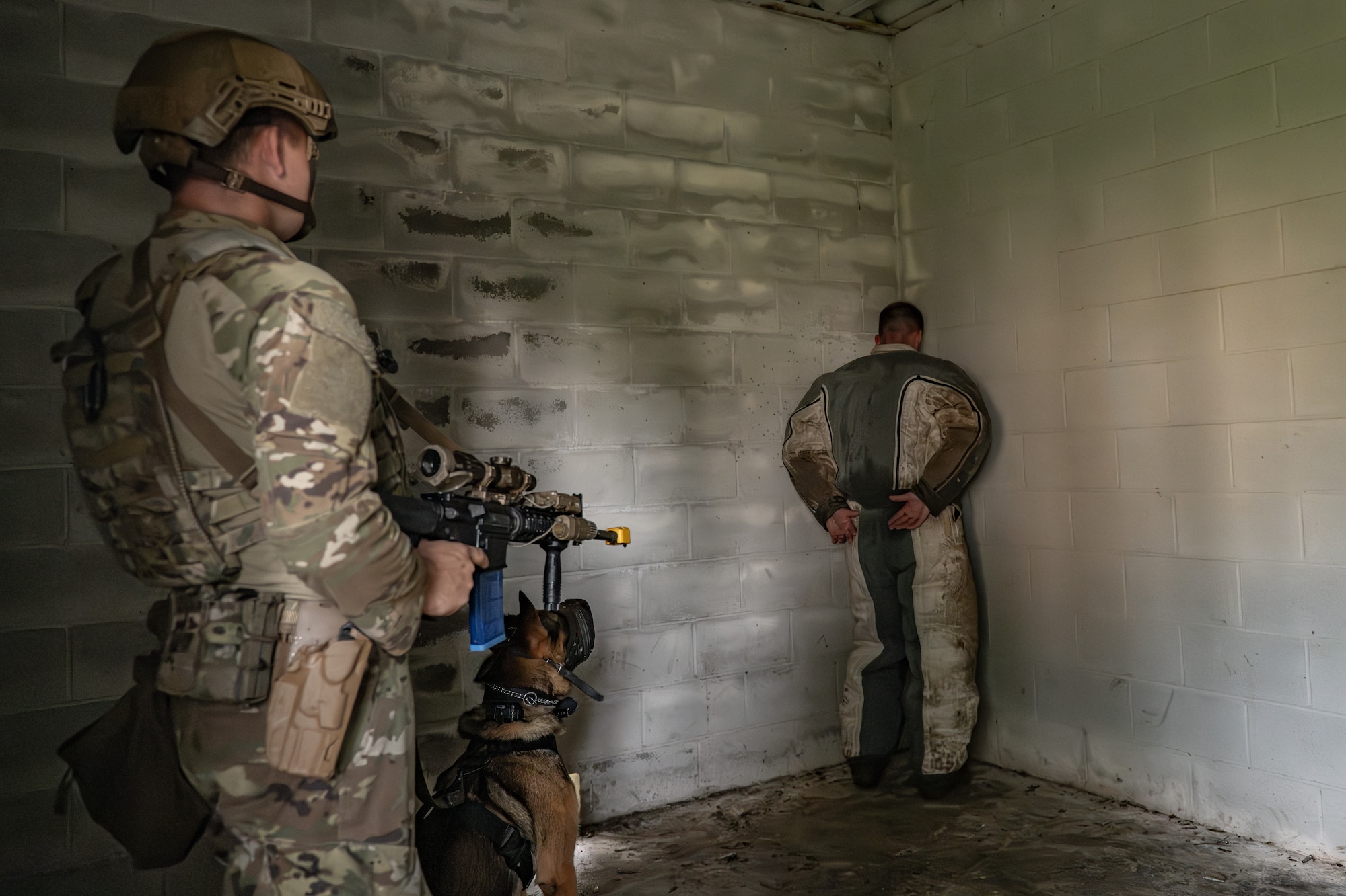 The 820th & 105th BDG conduct advanced military working dog and tactical training at Moody AFB.