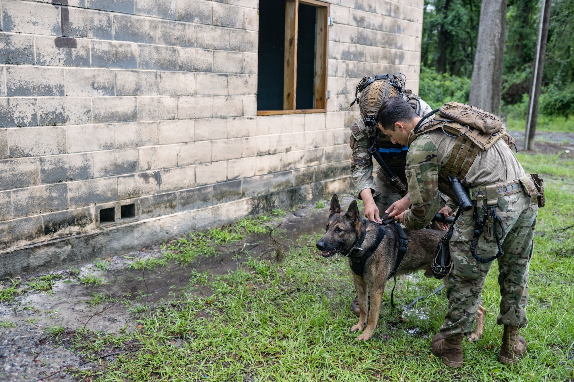 The 820th & 105th BDG conduct advanced military working dog and tactical training at Moody AFB.