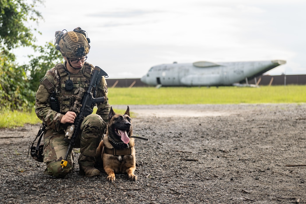 The 820th & 105th BDG conduct advanced military working dog and tactical training at Moody AFB.