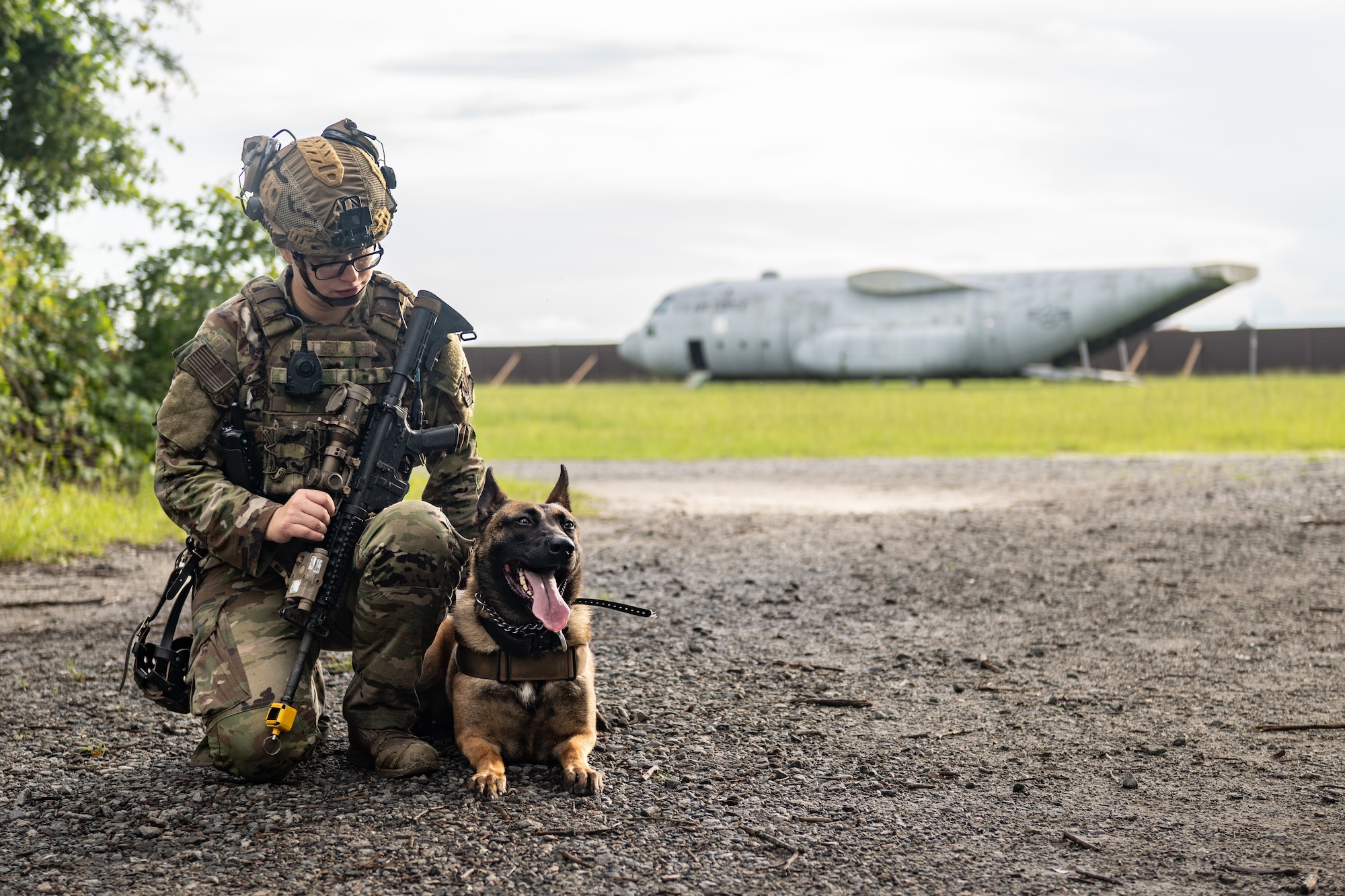 The 820th & 105th BDG conduct advanced military working dog and tactical training at Moody AFB.