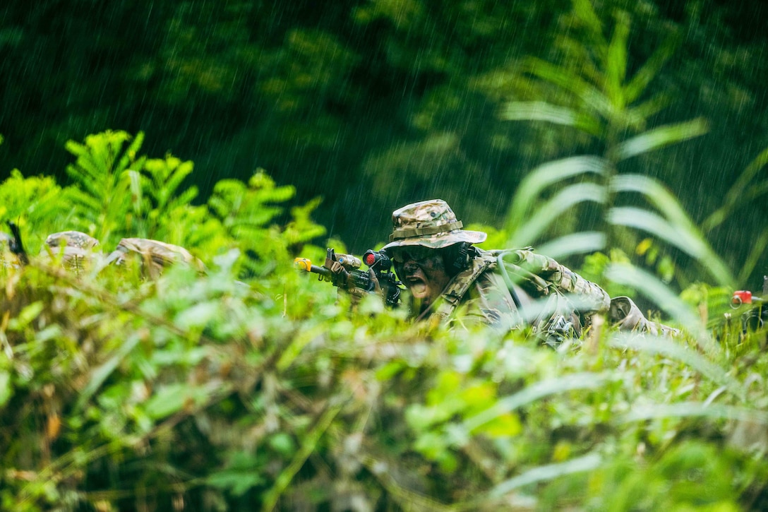 A soldier in camouflage in a wooded area looks through the scope of a weapon.