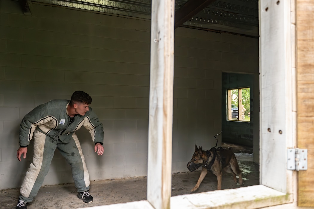 The 820th & 105th BDG conduct advanced military working dog and tactical training at Moody AFB.