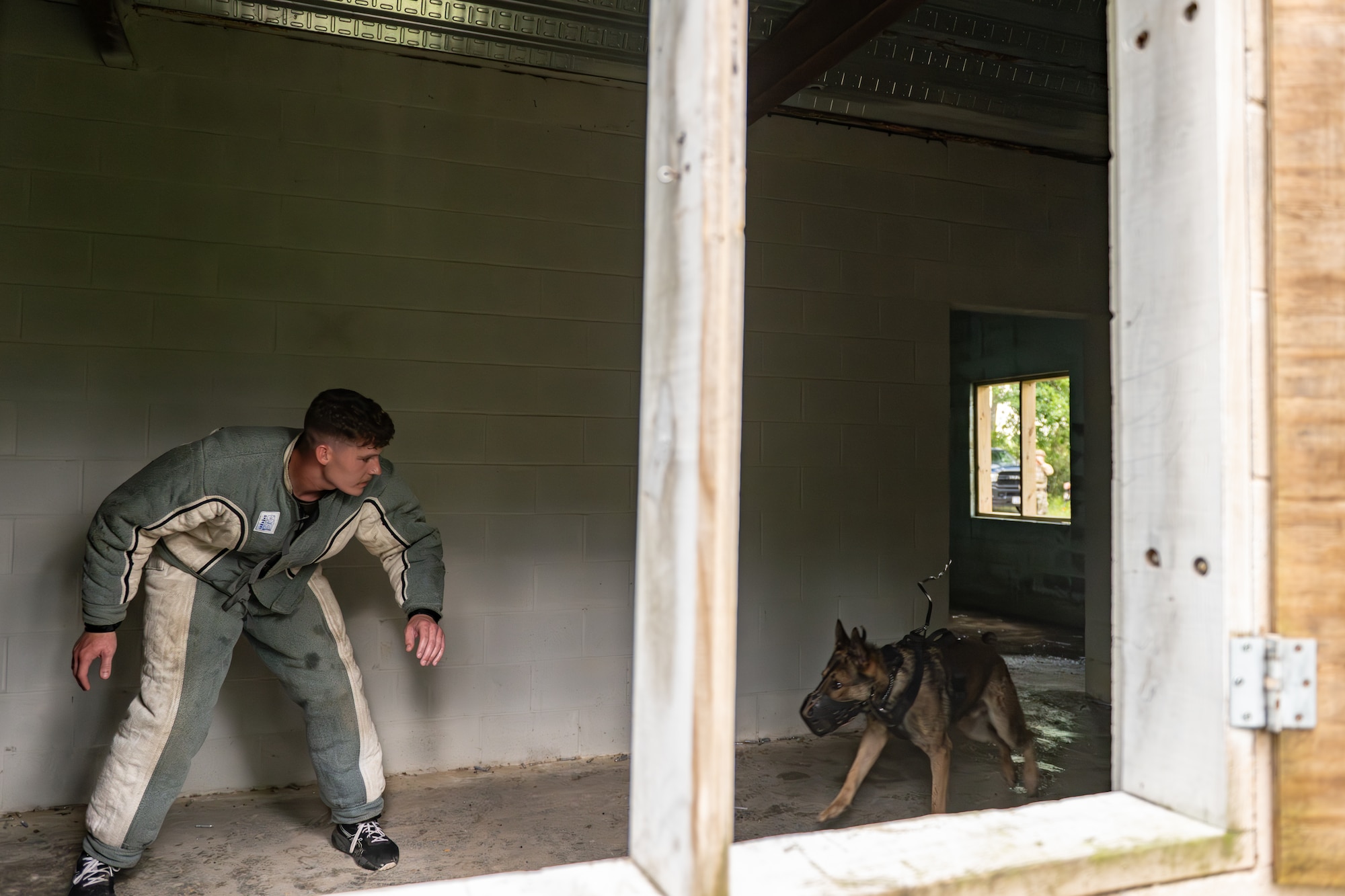 The 820th & 105th BDG conduct advanced military working dog and tactical training at Moody AFB.