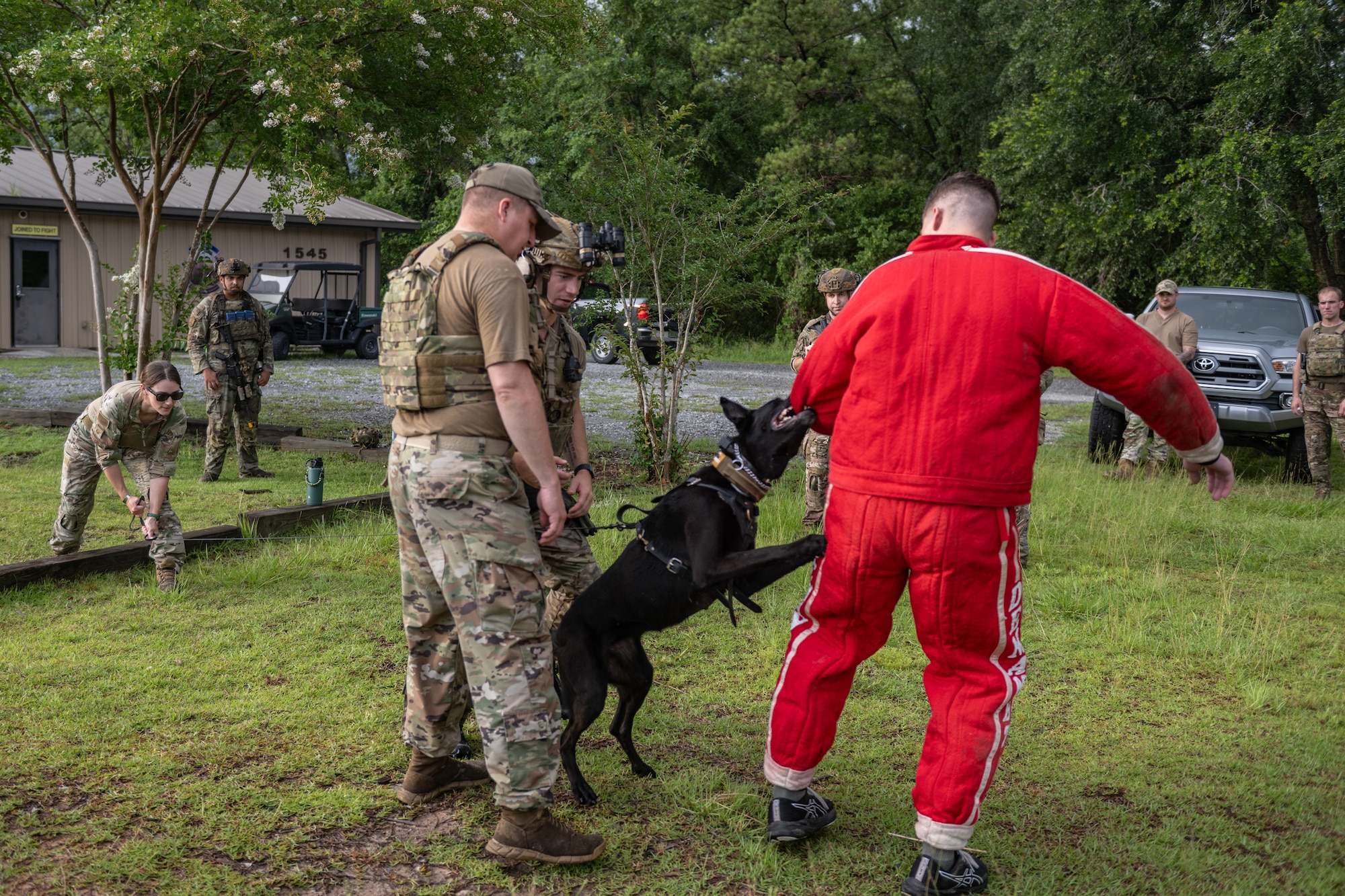 The 820th & 105th BDG conduct advanced military working dog and tactical training at Moody AFB.