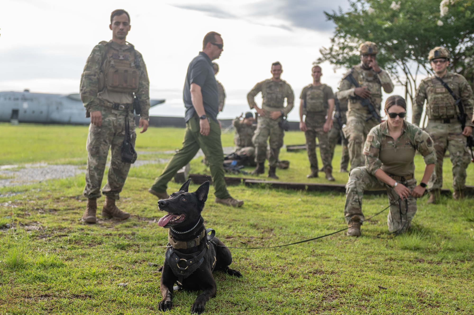 The 820th & 105th BDG conduct advanced military working dog and tactical training at Moody AFB.