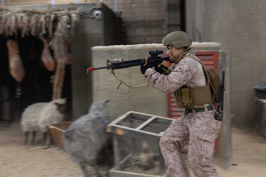 A Marine runs with a weapon with concrete structures with fake sheep and chickens nearby.