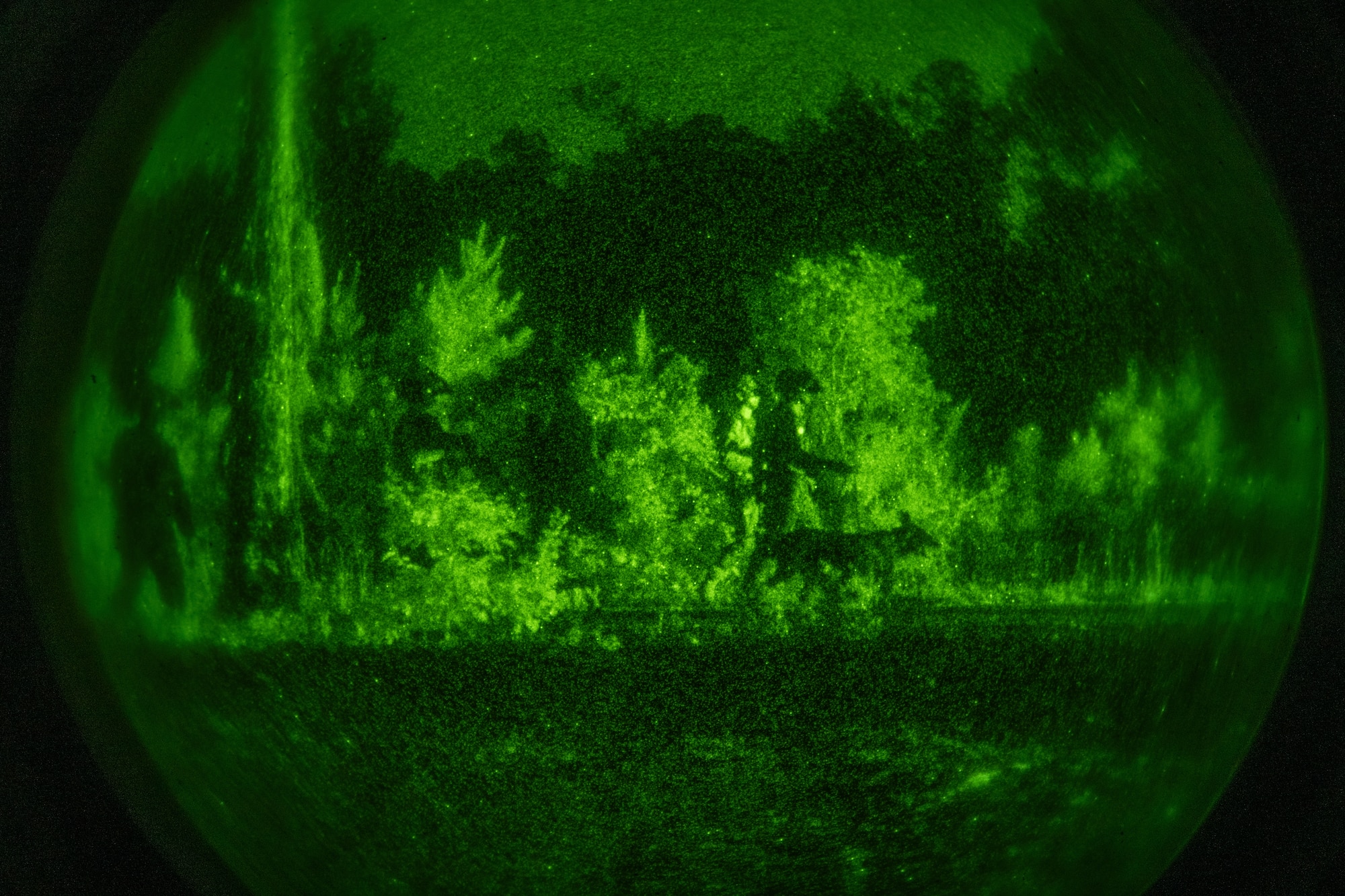 The 820th & 105th BDG conduct advanced military working dog and tactical training at Moody AFB.