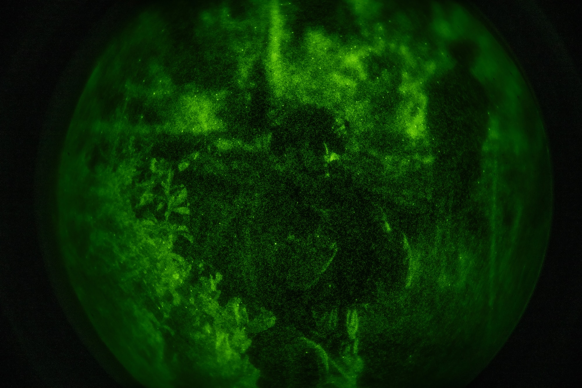 The 820th & 105th BDG conduct advanced military working dog and tactical training at Moody AFB.