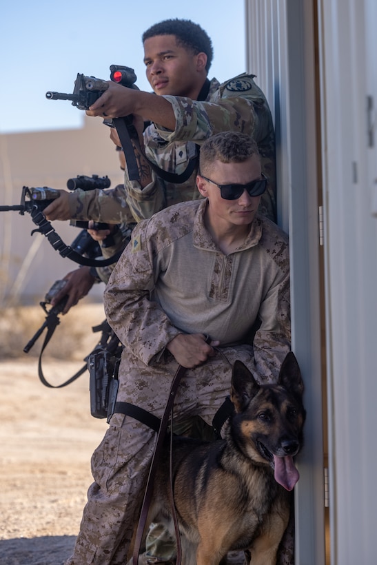 USMC