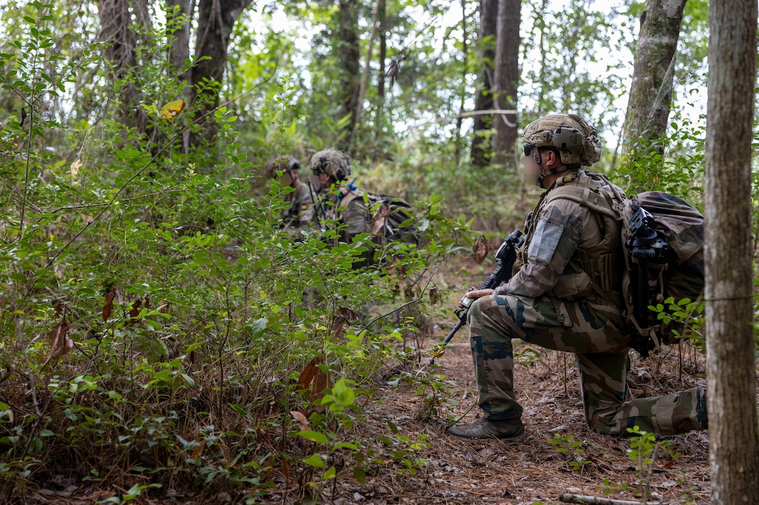A French Marine, right, with 3rd Marine Artillery Regiment, posts security during exercise Burmese Chase 25 at Marine Corps Base Camp Lejeune, North Carolina, Aug. 7, 2025. Burmese Chase is an annual U.S. led, multi-lateral training exercise comprised of integrating ground and air fires, infantry tactics and naval gunfire alongside NATO allies to enhance combat readiness and interoperability. (U.S. Marine Corps photo by Cpl. Marc Imprevert) (This photo has been altered for security purposes by blurring out faces.)