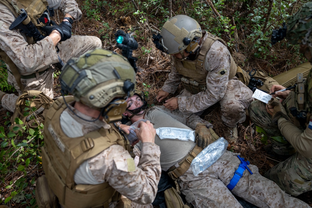 U.S. Marines and Sailors with 2nd Air Naval Gunfire Liaison Company, II Marine Expeditionary Force Information Group, and a Dutch Marine with 25 RSTA Squadron, treat a simulated casualty during a casualty evacuation drill as part of exercise Burmese Chase 25 at Marine Corps Base Camp Lejeune, North Carolina, Aug. 7, 2025. Burmese Chase is an annual U.S. led, multi-lateral training exercise comprised of integrating ground and air fires, infantry tactics and naval gunfire alongside NATO allies to enhance combat readiness and interoperability. (U.S. Marine Corps photo by Cpl. Marc Imprevert)