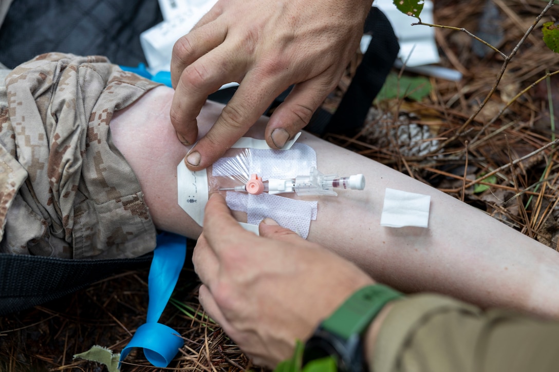 A Dutch Marine with 25 RSTA Squadron, inserts a needle on a simulated casualty during a casualty evacuation drill as part of exercise Burmese Chase 25 at Marine Corps Base Camp Lejeune, North Carolina, Aug. 7, 2025. Burmese Chase is an annual U.S. led, multi-lateral training exercise comprised of integrating ground and air fires, infantry tactics and naval gunfire alongside NATO allies to enhance combat readiness and interoperability. (U.S. Marine Corps photo by Cpl. Marc Imprevert)