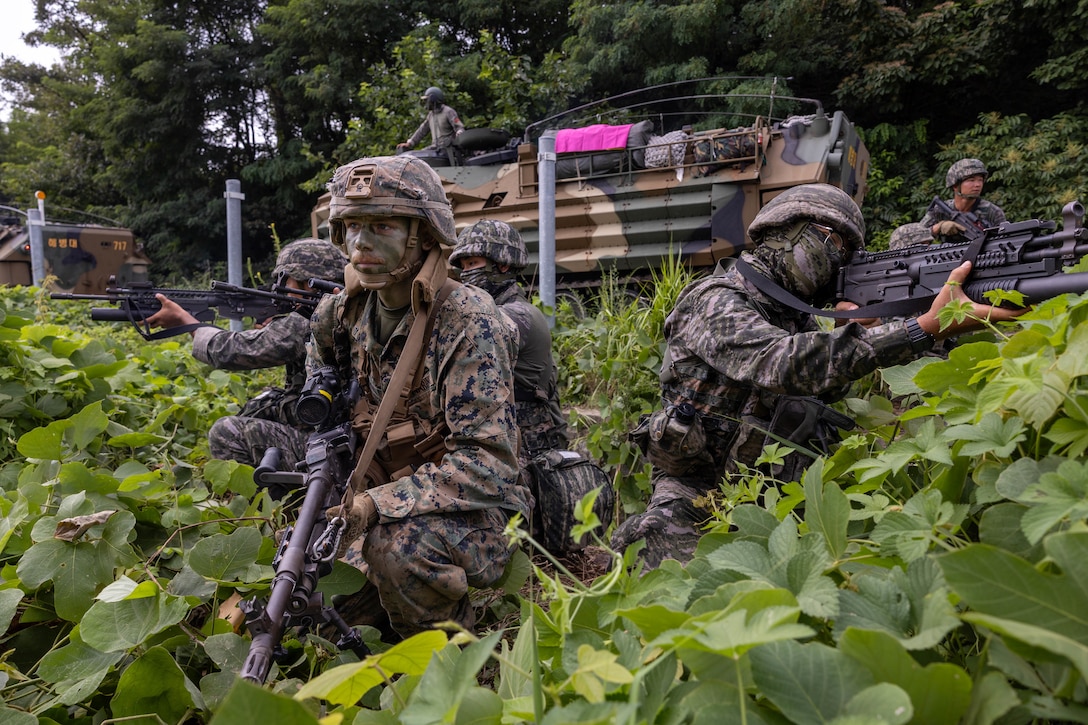 U.S. Marine Corps Lance Cpl. Noah Reigel, center, a machine gunner with 2nd Battalion, 23rd Marines, forward deployed with 4th Marine Regiment, 3rd Marine Division as part of the Unit Deployment Program, and Republic of Korea Marines with 1st Marine Division, ROK Marine Corps, advance through a training area during the Korean Marine Exercise Program 25.2, Pohang, South Korea, Aug. 8, 2025. KMEP is conducted regularly between the ROK and U.S. Marine Corps to increase their combined capabilities through realistic training geared towards deterrence and maintaining peace in the Indo-Pacific. Reigel is a native of Tennessee.  (U.S. Marine Corps photo by Cpl. Kanoa Thomas)