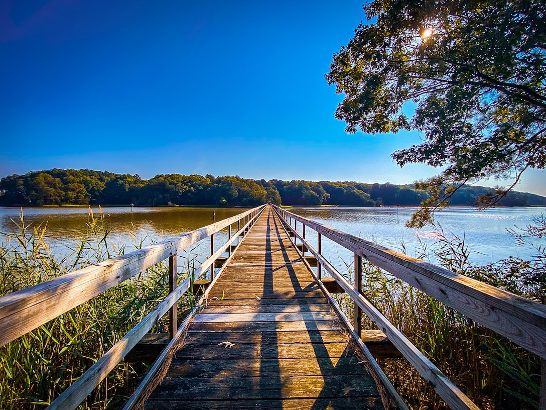 A pier leading to a lake
