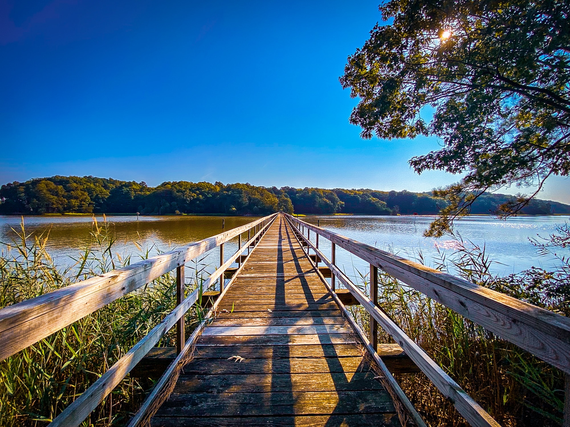 A pier leading to a lake