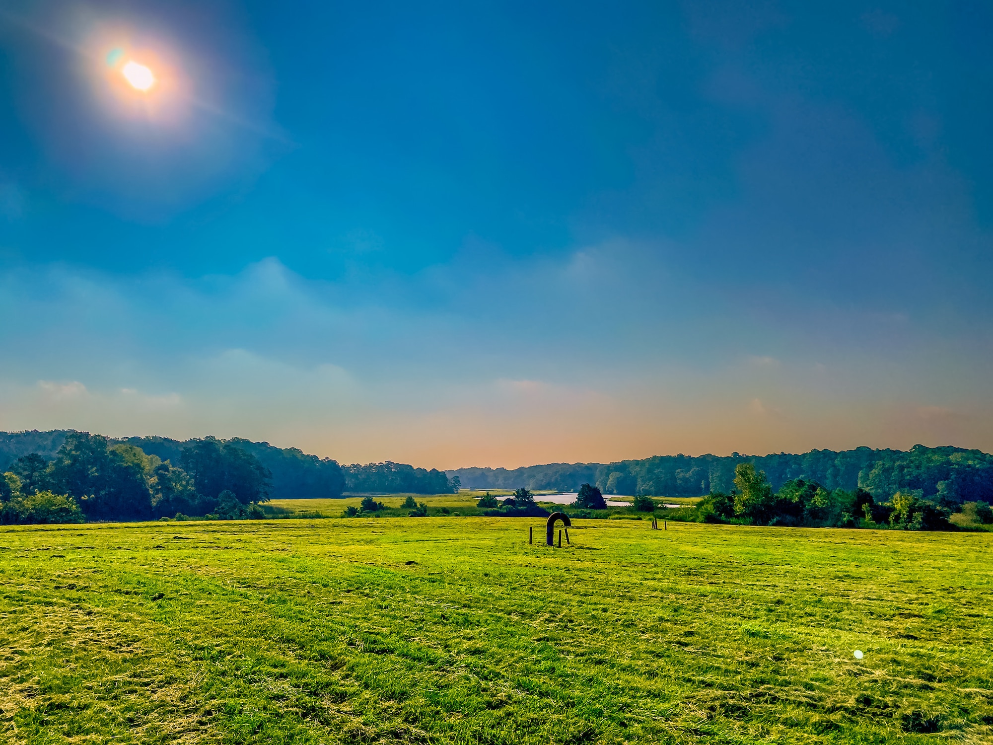 A green pasture
