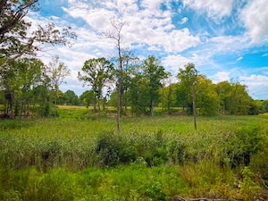 Grassy field