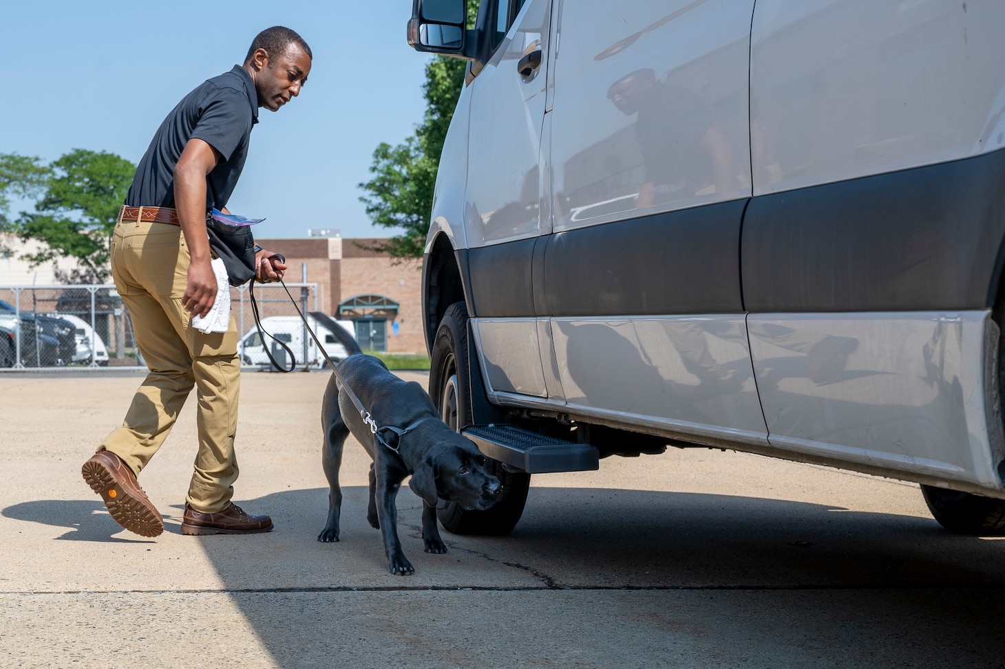 Black Labrador dog sniffs around a white van