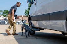 Black Labrador dog sniffs around a white van