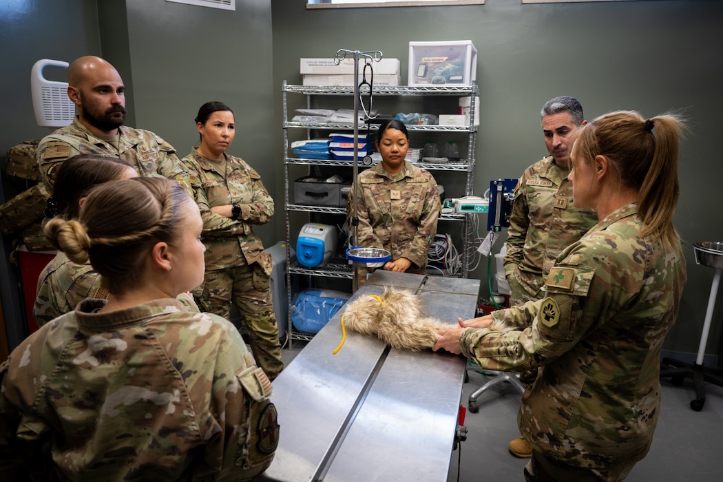 Image of Airman training.