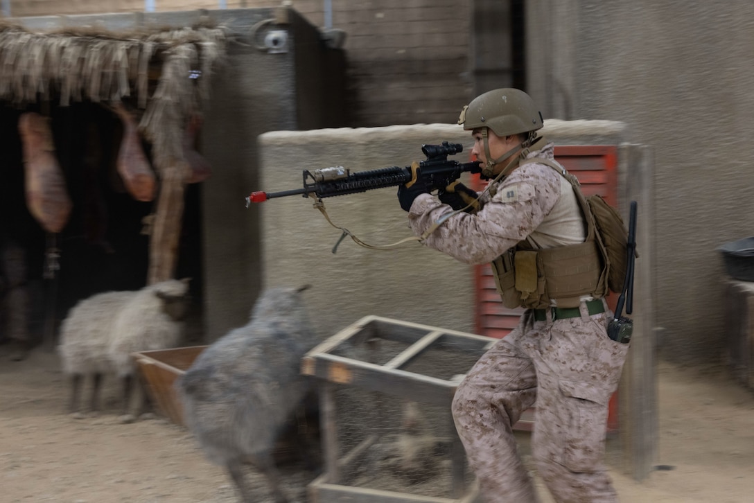U.S. Marine Corps Capt. Hunter Roessler, a firepower control team leader 4th Air Naval Gunfire Liaison Company, Force Headquarters Group, Marine Corps Forces Reserve, bounds to a new location during exercise Burmese Chase 25 at Marine Corps Base Camp Lejeune, North Carolina, Aug. 8, 2025. Burmese Chase is an annual U.S. led, multi-lateral training exercise comprised of integrating ground and air fires, infantry tactics and naval gunfire alongside NATO allies to enhance combat readiness and interoperability. (U.S. Marine Corps photo by LCpl. Weston Lindstrom.)