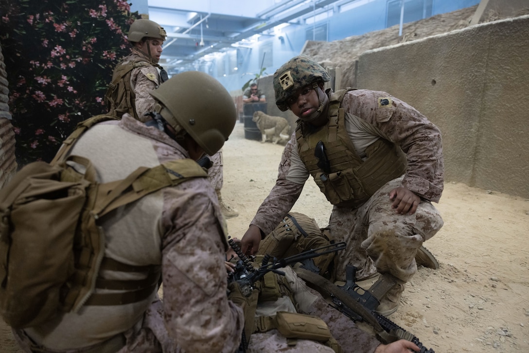 U.S. Marines and Navy Corpsmen with 4th Air Naval Gunfire Liaison Company, Force Headquarters Group, Marine Corps Forces Reserve, triage a simulated casualty during exercise Burmese Chase 25 at Marine Corps Base Camp Lejeune, North Carolina, Aug. 8, 2025. Burmese Chase is an annual U.S. led, multi-lateral training exercise comprised of integrating ground and air fires, infantry tactics and naval gunfire alongside NATO allies to enhance combat readiness and interoperability. (U.S. Marine Corps photo by LCpl. Weston Lindstrom)