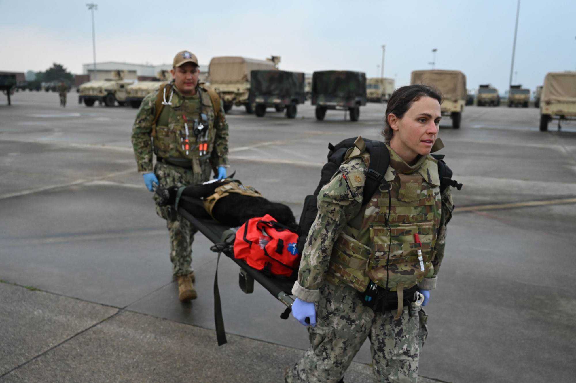 U.S. military forces move a K-9 casualty dummy June 7, 2025, at the 178th Ohio Air National Guard Base in Springfield, Ohio, during Exercise Relentless Valor. The scenario was part of a large-scale joint medical exercise focused on enhancing readiness in contested environments. (U.S. Air National Guard photo by Staff Sgt. Colin Simpson)