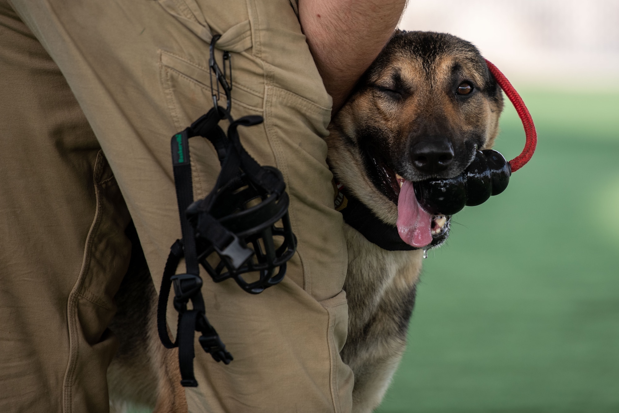 Medical personnel get crash course in canine care
