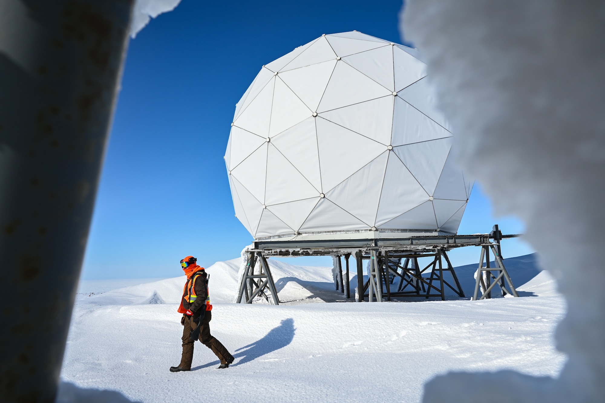 A bear monitor secures the area surrounding a short-range radar station.