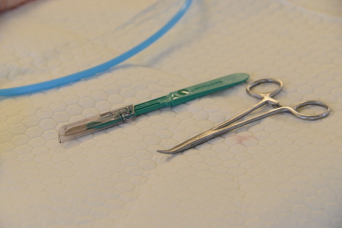 A scalpel and forceps lie on a cleaning pad
