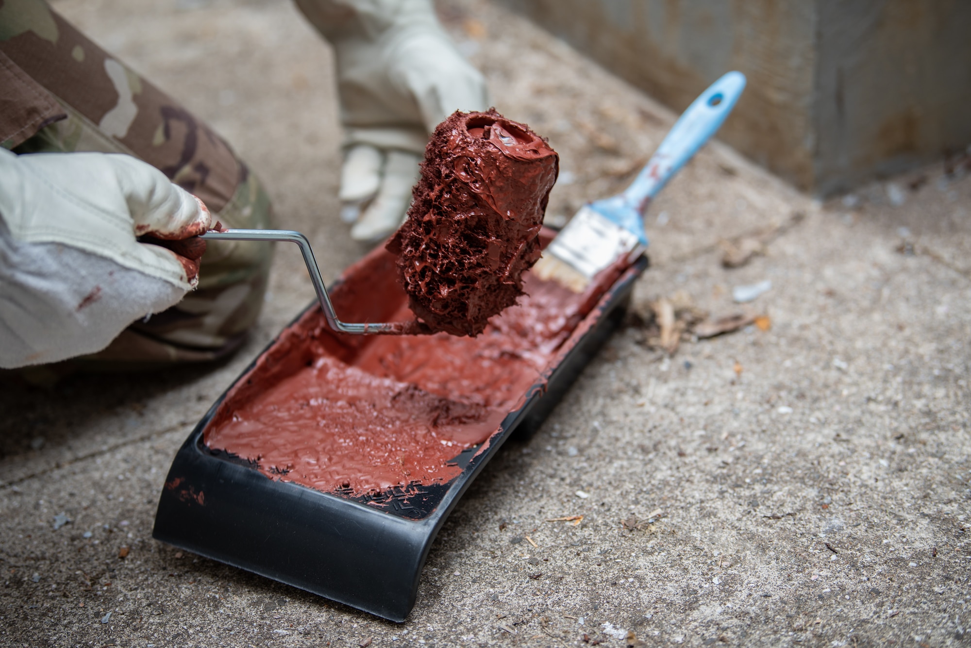 An Airman from the Kentucky Air National Guard’s 123rd Civil Engineer Squadron dips a roller in anti-corrosion paint at Lajes Field, Azores, June 24, 2025, to coat ventilation systems, protecting them from the harsh costal environment. Airmen from the unit were tasked with base rejuvenation efforts across Lajes Field during a two-week deployment. (U.S. Air Force photo by Airman 1st Class Angelee Barnett)