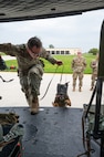 A U.S. Air Force military working dog handler and his dog board a helicopter.