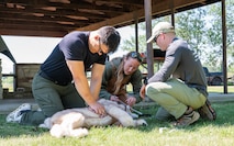A U.S. Army veterinary commanding officer instructs two Airmen on Tactical Combat Casualty Care procedures for dogs on a canine manikin.