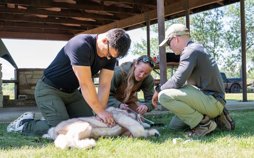 A U.S. Army veterinary commanding officer instructs two Airmen on Tactical Combat Casualty Care procedures for dogs on a canine manikin.