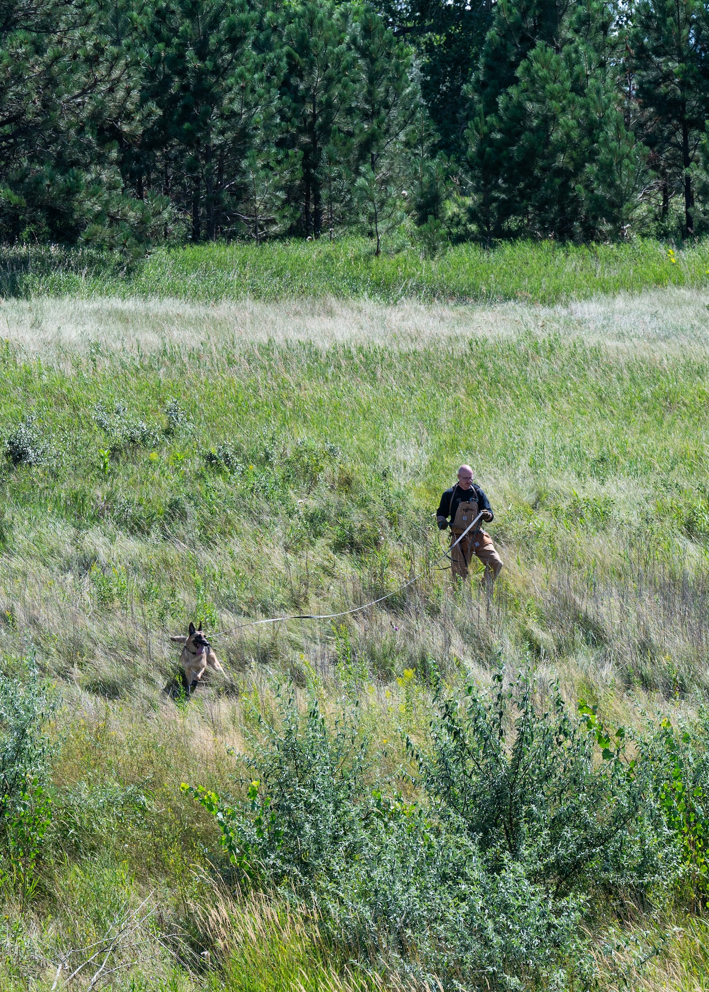 A U.S. Air Force military working dog hander and his dog wander around the wilderness for training purposes.